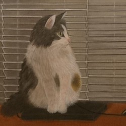 A4サイズ【手描き原画★１点もの】パソコンに乗る猫【マット入りの額つき】 1枚目の画像
