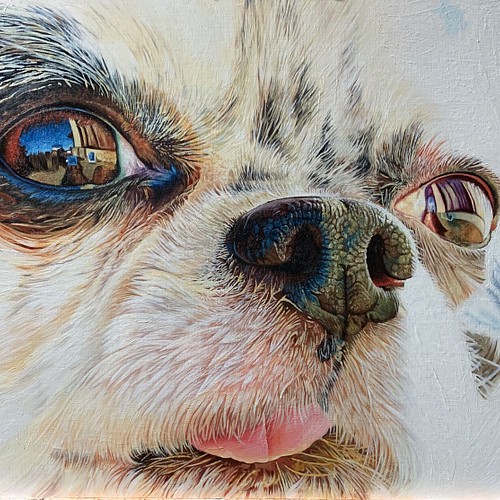 オーダーメイド 鉛筆画 似顔絵 ハガキサイズ ペット 犬 猫 絵画 かよ 