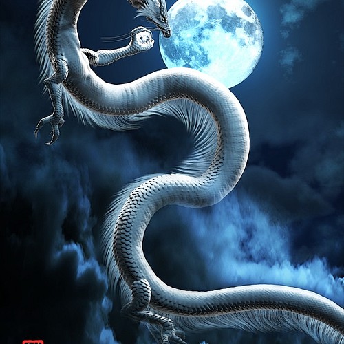龍の絵 月と白龍 ａ４ イラスト Breeze 通販 Creema クリーマ ハンドメイド 手作り クラフト作品の販売サイト