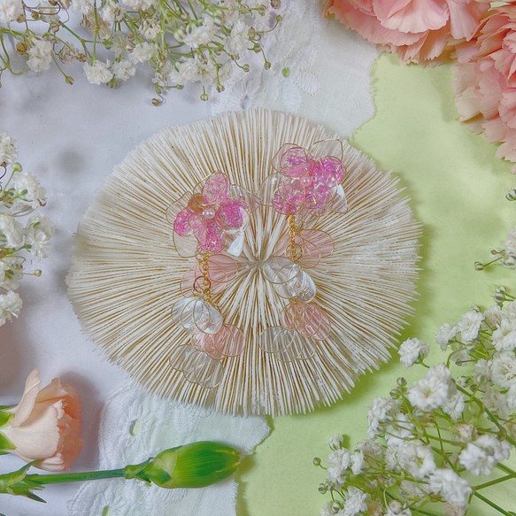 明るいシェルピンクの花 1枚目の画像