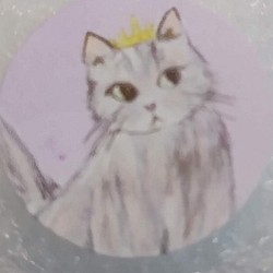 ♛Crown Cat♛Tippiコンパクトミラー　両面プリント 1枚目の画像