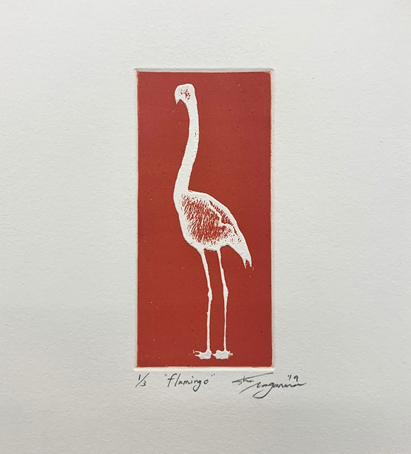 Flamingo 1枚目の画像