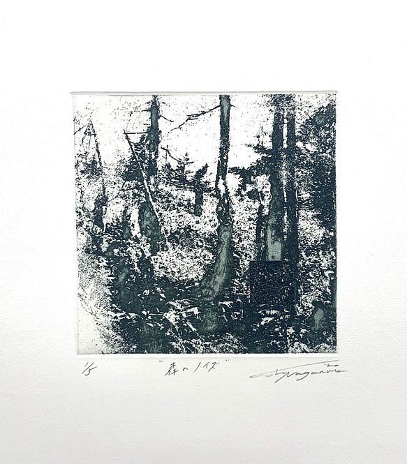 森のノイズ 1枚目の画像