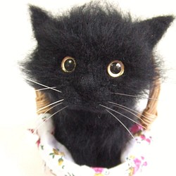 Katia  黒猫ちゃん(^^♪　黒猫　猫　羊毛フェルト 1枚目の画像