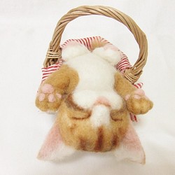 Katia  とろり～んこ(^^♪⑩　茶トラ　猫　羊毛フェルト 1枚目の画像