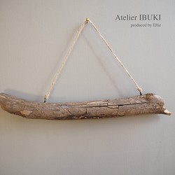 IBUKI × Driftwood 1枚目の画像