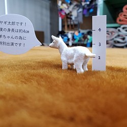 ムートン(羊) CHINA生産 (No.61) 1枚目の画像