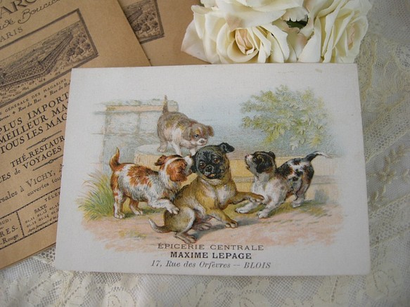 フランスアンティ－クトレードカード（犬） 1枚目の画像