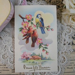フランスアンティ－クポストカード（母の日・小鳥） 1枚目の画像