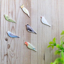 小鳥のピアス・イヤリング（インコ/ブンチョウ） 1枚目の画像