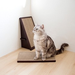 【安閣家】頑強 貓抓板 (2片) | 胡桃木 (贈送純天然木天蓼) 第1張的照片