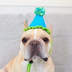 犬用　かぶりもの　帽子　誕生日祝い 1枚目の画像