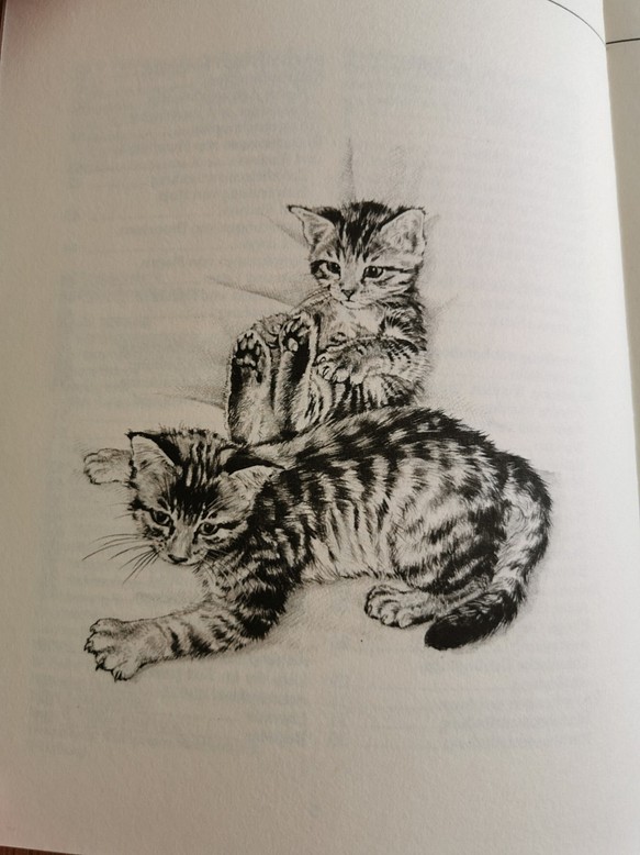 1989年ドイツ・ベルリン/猫のための自然薬本 その他素材 WienApplePie 通販｜Creema(クリーマ)