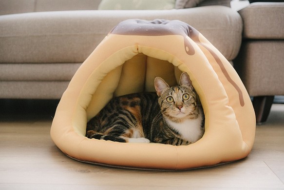 暖屋-焦糖布丁 貓窩 寵物床 第1張的照片
