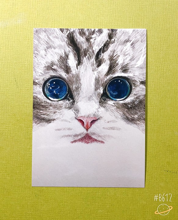 猫のポストカード4枚セット【マンチカン】第3弾 1枚目の画像