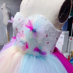 只有婚紗和彩色連衣裙的上衣可以重新設計珠子珍珠彩虹蕾絲 第1張的照片