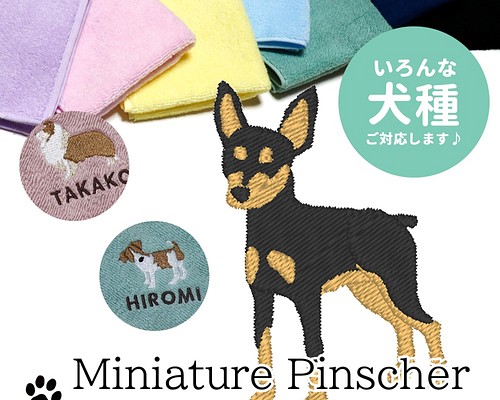 ミニチュア・ピンシャー刺繍ハンカチ(お名前刺繍します) ミニチュア