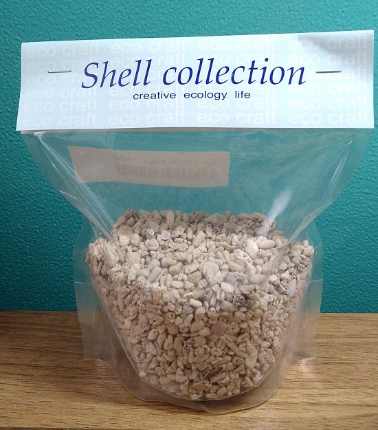 貝サンゴ石M 250ｇ袋 / 天然素材 レジン封入 デコ 素材 UVレジン レジンクラフト ハーバリウム 1枚目の画像
