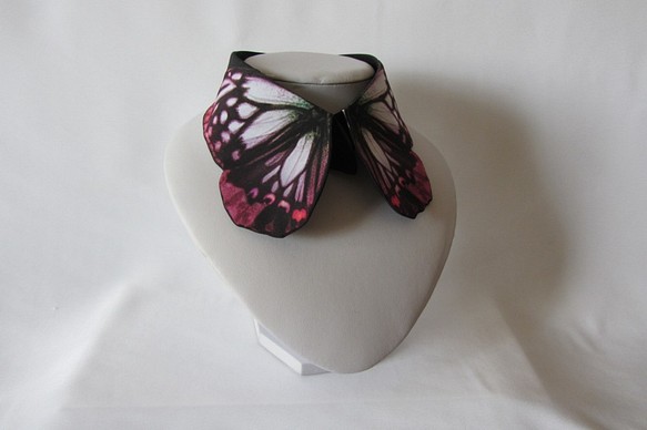 蝶々付け衿:アカボシゴマダラ春型春写 1枚目の画像