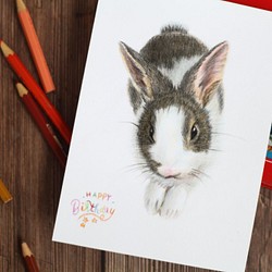 「唯想念」手工彩繪寵物肖像 彩色鉛筆 素描 第1張的照片