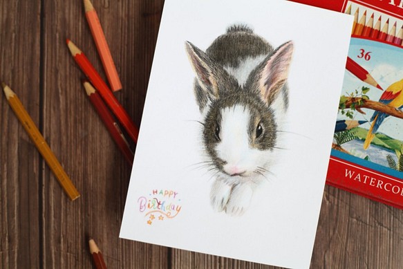 「唯想念」手工彩繪寵物肖像 彩色鉛筆 素描 第1張的照片
