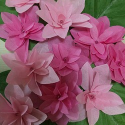 和紙の折り紙フラワー(紫陽花２色ピンク) 1枚目の画像