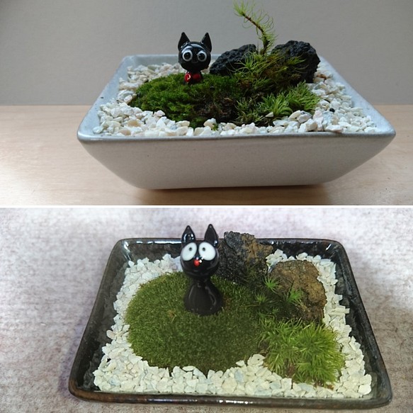 【Creema限定 福袋】苔テラリウム ミニ盆栽庭園風 黒猫の庭園 2点セット 1枚目の画像