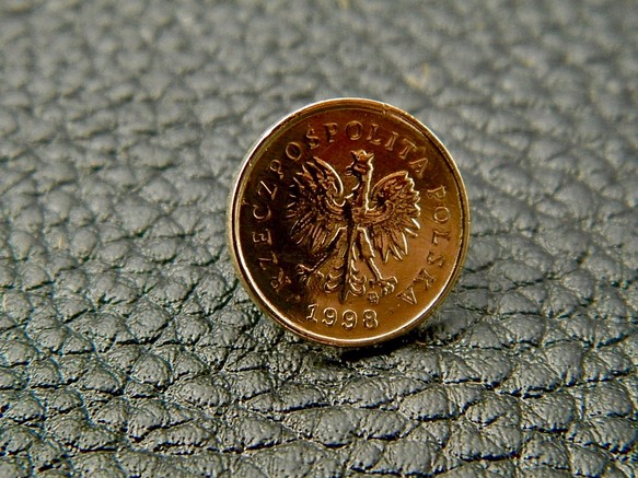 #L9  Poland Coin Lapel Pin 1枚目の画像