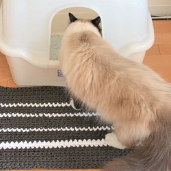 minas 猫砂飛び散り防止にも使えるラグマット 横型トイレ用 カーキ 約60×40cm 1枚目の画像