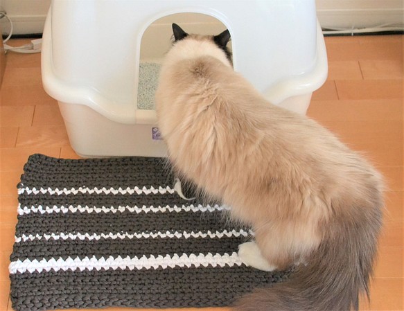 minas 猫砂飛び散り防止にも使えるラグマット 横型トイレ用 カーキ 約60×40cm 1枚目の画像