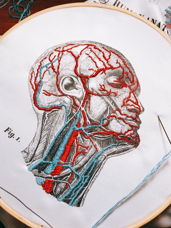 サイサイエンスファクトリー氏│放課後-人間の血管分布刺繡セット 1枚目の画像