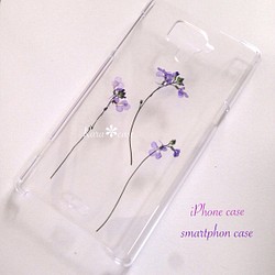 野花の押し花iPhoneケース♡限定 1枚目の画像