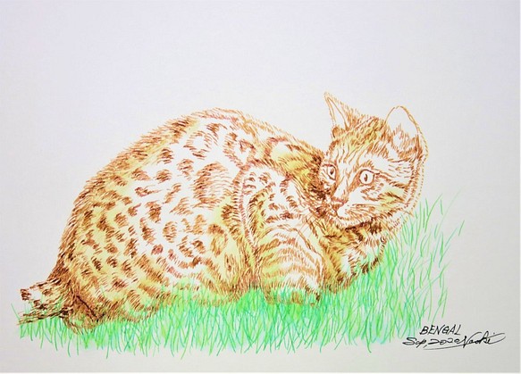 ガラスペン画　デッサン　一点物　猫　CAT BENGAL　スケッチブック182㎜×275㎜　水性インク 1枚目の画像