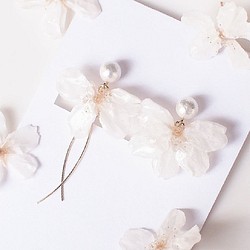 Everpink Sakura. 桜　本物のお花とコットンパールのアシンメトリー イヤリング/クリップイヤリング 1枚目の画像