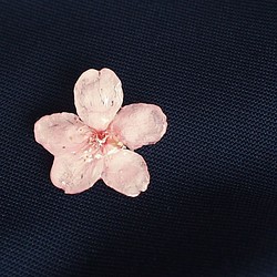 Early Bloom. 本物のお花　早咲き桜とパールのタックピン/ピンブローチ/ハットピン/スカーフ留め/コサージュ　 1枚目の画像