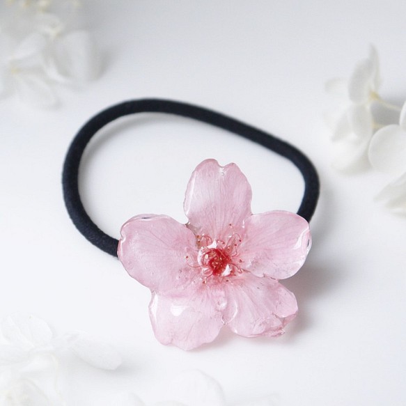 【受注制作】Early Bloom. 本物のお花　桜の髪飾り/ヘアゴム　早咲きピンク　プリザーブドフラワー　 1枚目の画像