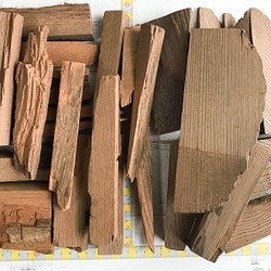 ⍟1種／Lサイズ『神代欅（じんだいけやき）が好き！』送料別：色々樹種・木材端材セット 日本の木 世界の木 jk3 1枚目の画像
