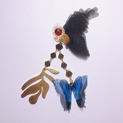 蝶々とドラゴンブレスのピアス 1枚目の画像
