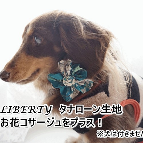 リバティ タナローン柄 お花コサージュ 犬用首輪 リードにかわいさをプラス リード 首輪 Bean S Factory 通販 Creema クリーマ ハンドメイド 手作り クラフト作品の販売サイト