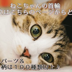 猫用首輪　お好みの柄でオーダーメイドで作成いたします！　猫　ネコ　首輪　cat　選べる　１０mm幅 1枚目の画像