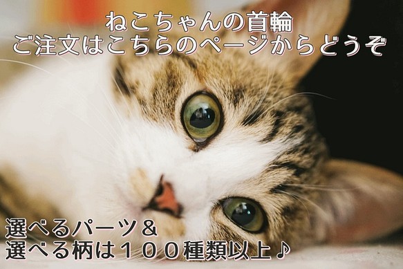 猫用首輪　お好みの柄でオーダーメイドで作成いたします！　猫　ネコ　首輪　cat　選べる　１０mm幅 1枚目の画像