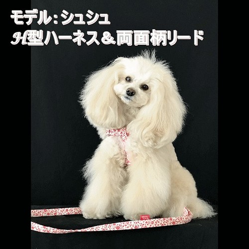 スカーレット 犬用リード １０mm １５ｍｍ ２０ｍｍ幅 オーダーメイド 小型犬 中型犬 子犬 花柄 かわいい リード 首輪 Bean S Factory まき 通販 Creema クリーマ ハンドメイド 手作り クラフト作品の販売サイト