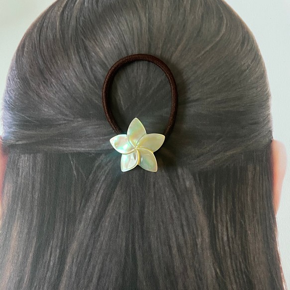 夜光貝 日だまりの花 プルメリア ヘアゴム | www.munilamar.gob.pe