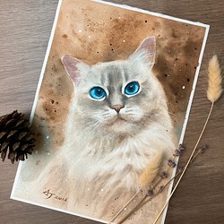 Pet Portrait 單隻寵物肖像/寵物畫/15cmx15cm/19.5cmx27.5cm/可含框 第1張的照片