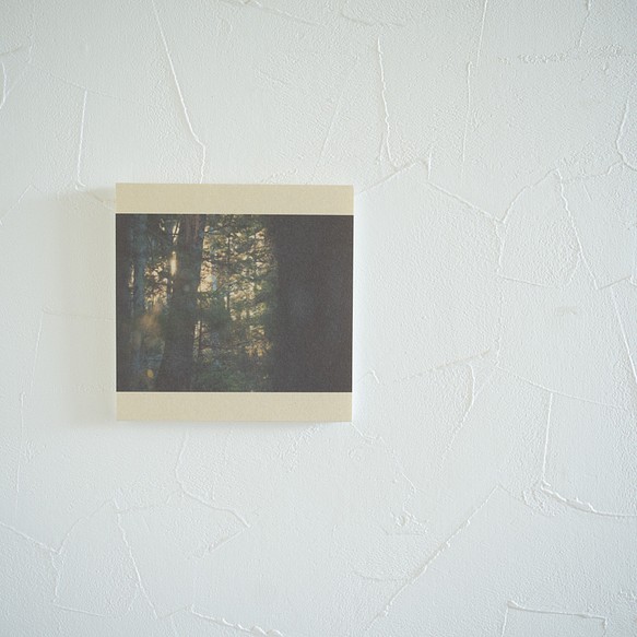 壁であそぼう NEW [宅送] ARRIVAL 森の夜明け 写真 アートパネル