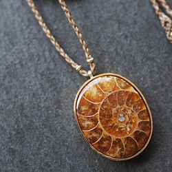 ammonite brass necklace (brown) 1枚目の画像