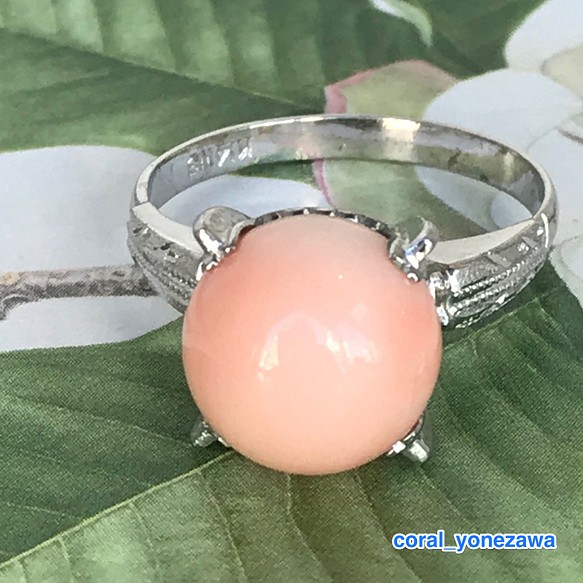 アウトレットSALE☆ピンク珊瑚玉・K14WG指輪【天使のピンク】 - 指輪 ...