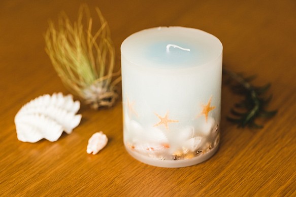 人気特価激安 Botanical Candle Shell