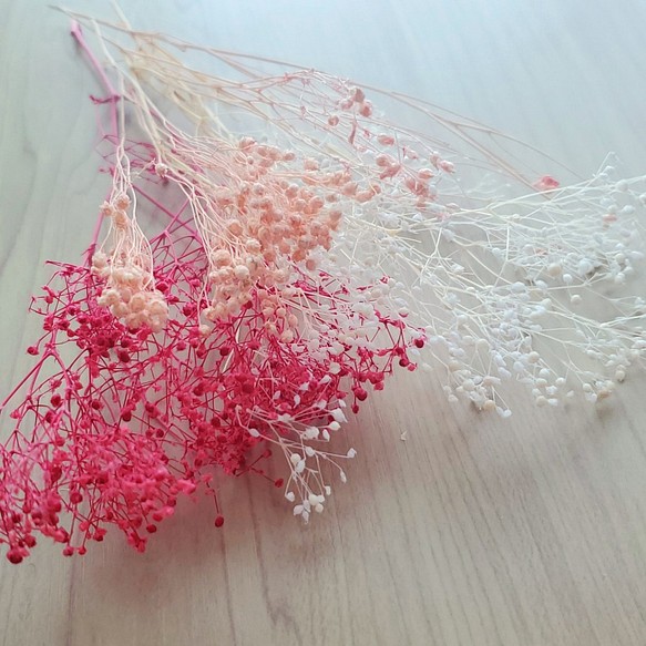 ソフトミニカスミ草・モリソニア4.5g ピンク系花材セット 1枚目の画像