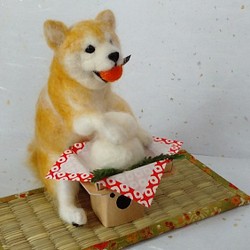 いたずら初め柴ちゃん　鏡餅　お正月飾り　犬　柴犬 1枚目の画像